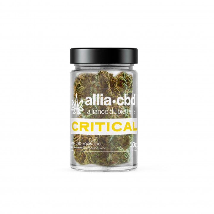 CBD - CRITICAL