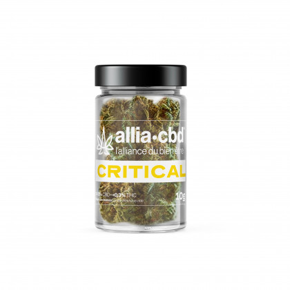 CBD - CRITICAL