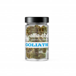 CBD - GOLIATH