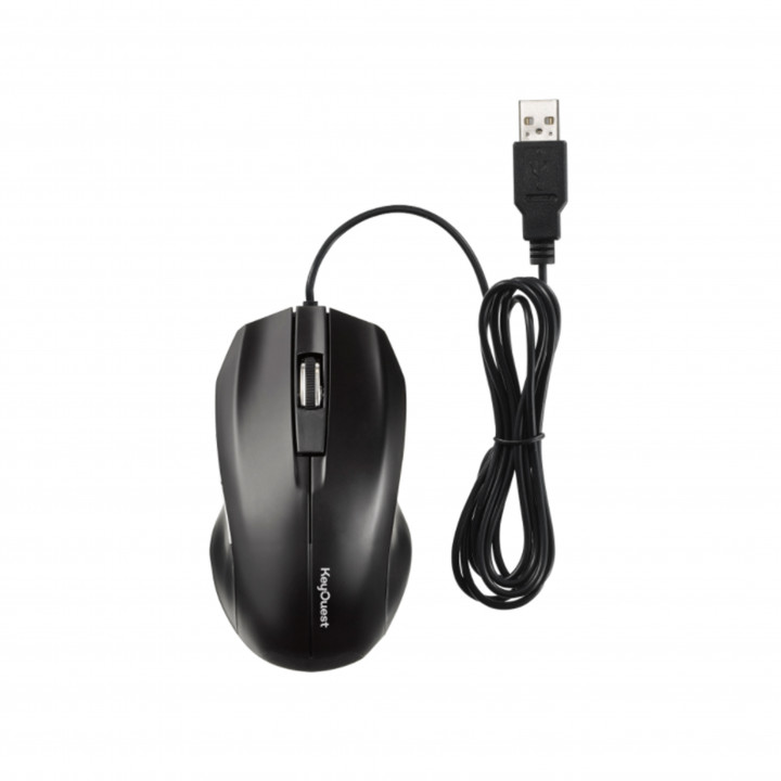 Souris filaire Expert